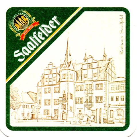 saalfeld slf-th saalfelder bauwerk schwarz 11a (quad185-rathaus saalfeld)